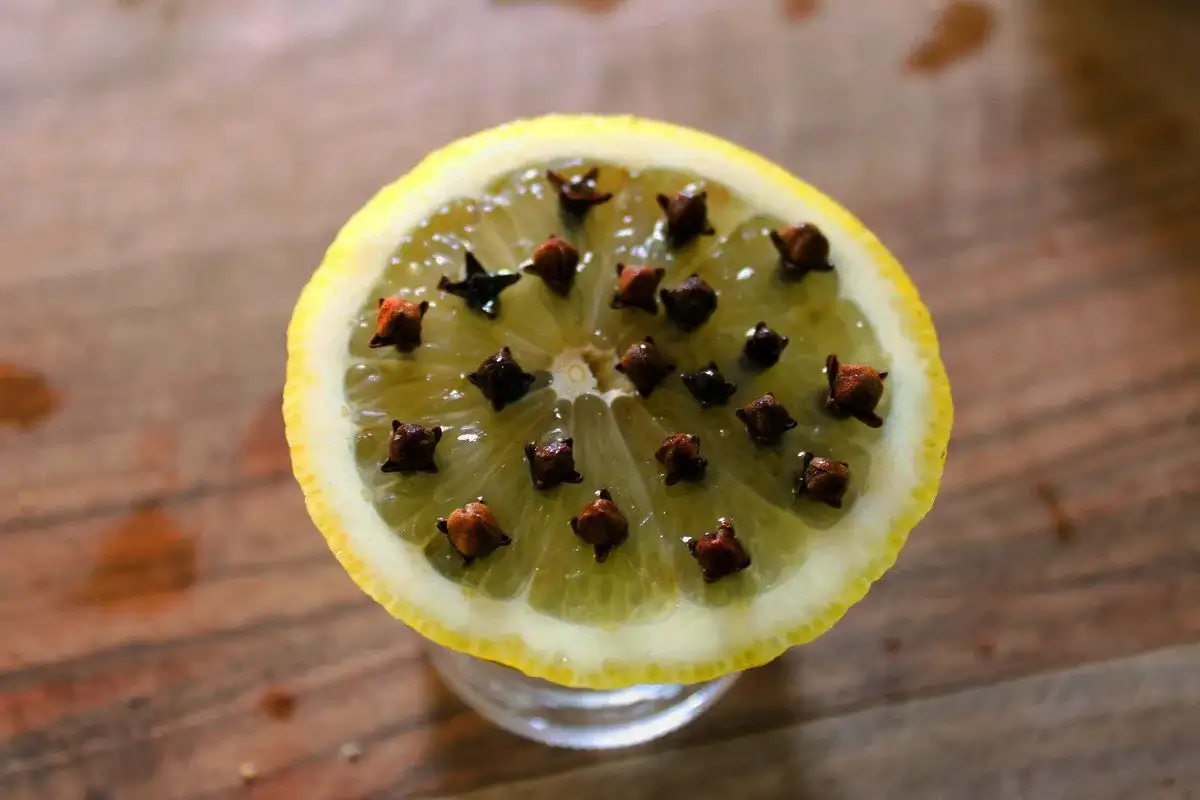 A fűszer, ami szinte minden konyhában ott van, mégis elűzi a rovarokat – szúnyog, hangya, moly azonnal menekül