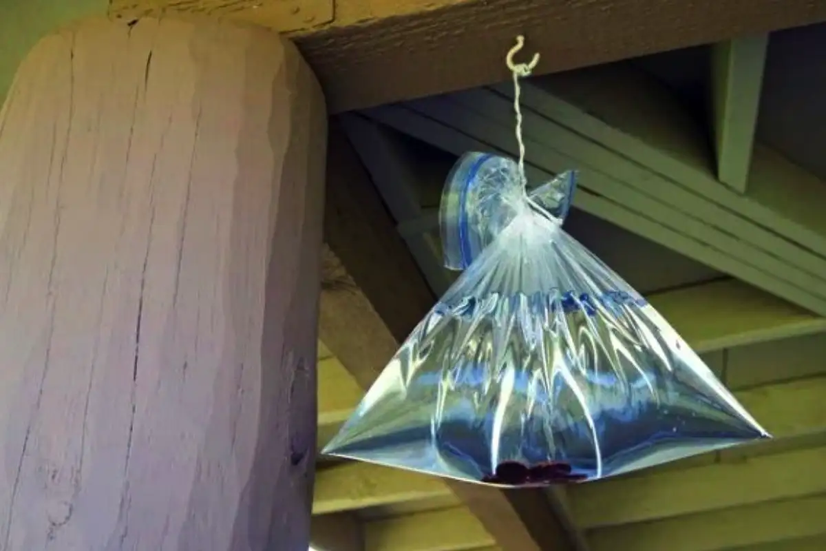 Egy zacskó víz, és kész a légytelen tél