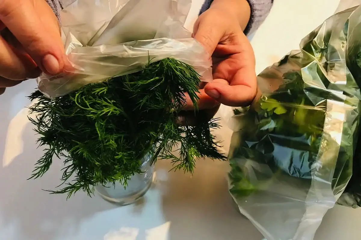 Hogyan tartsd frissen a zöldfűszert hetekig a hűtőben – fagyasztás nélkül, filléres trükkökkel