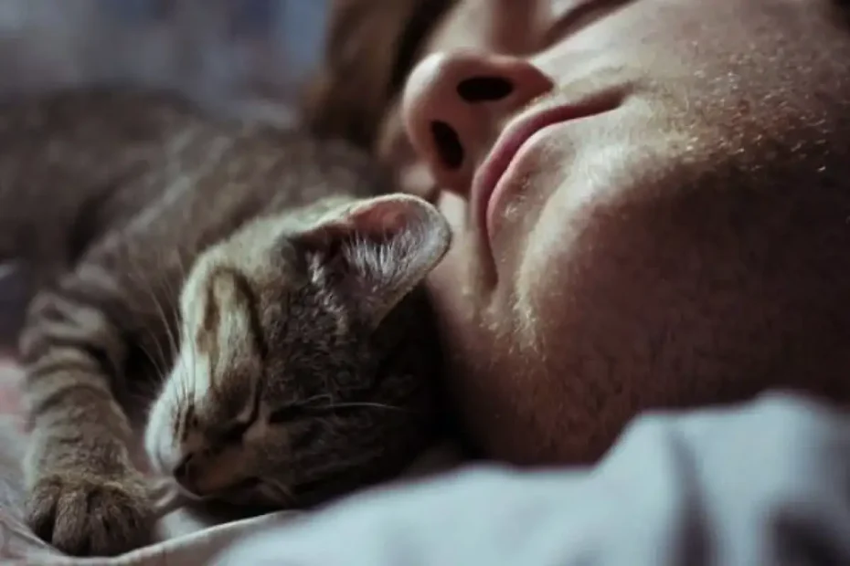 Miért alszik rajtad a macska? 6 megható ok, amitől még jobban szereted