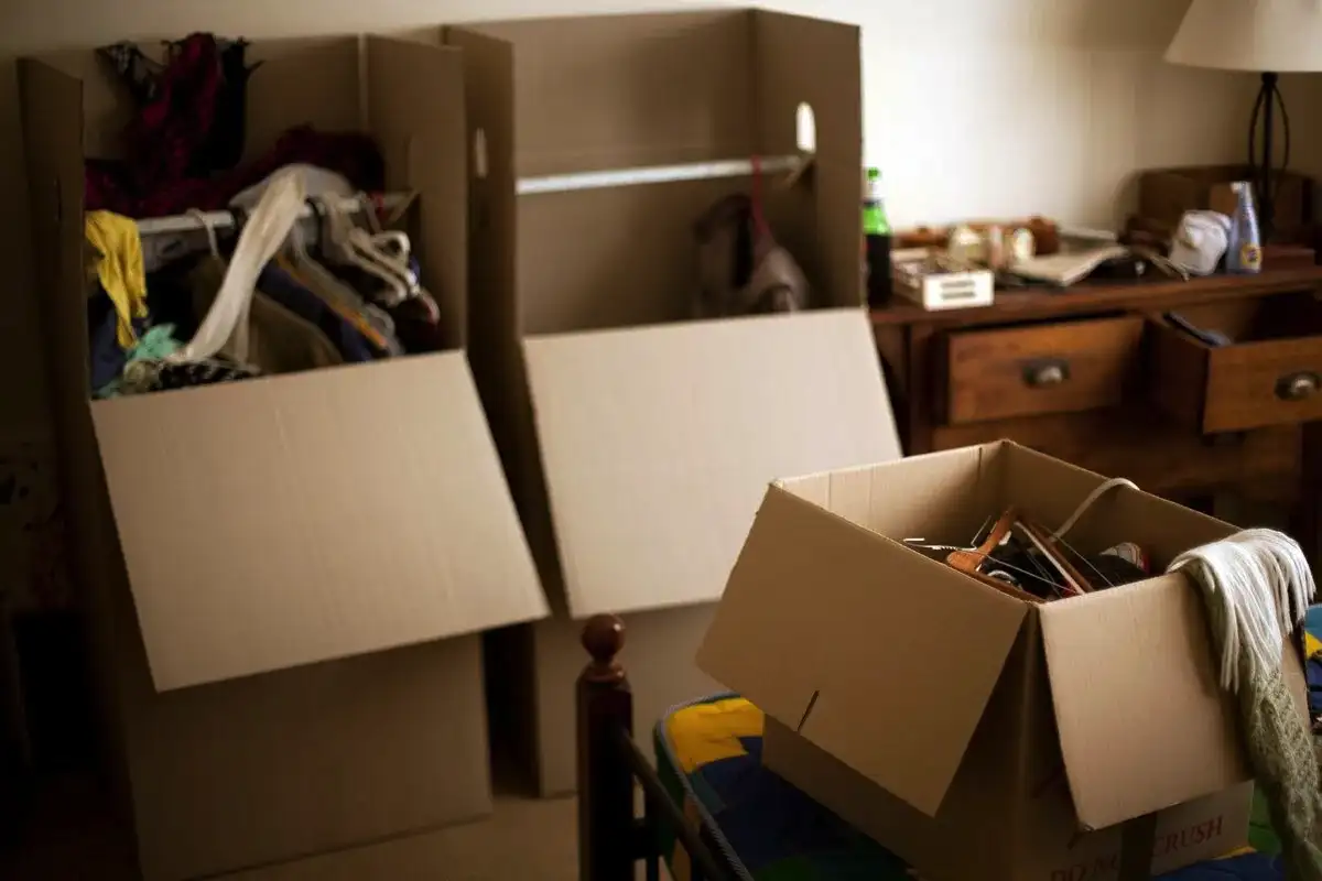 Feng Shui 2026-ra: így vonzd be a bőséget a házadba – a Tűz Sárkány éve változást hoz