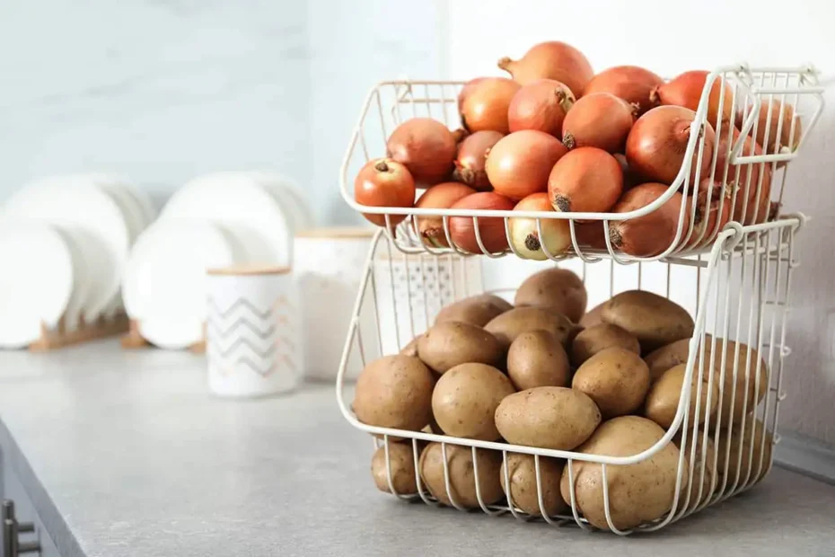 Nem a hűtőben: hol tárold a hagymát és fokhagymát hónapokig, hogy ne romoljon és ne csírázzon – teljes útmutató!