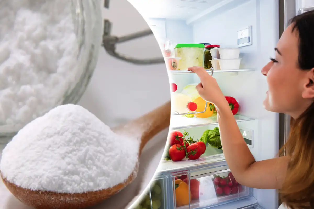 Hogyan szabadulj meg a hűtő szagától: 3 hatékony módszer