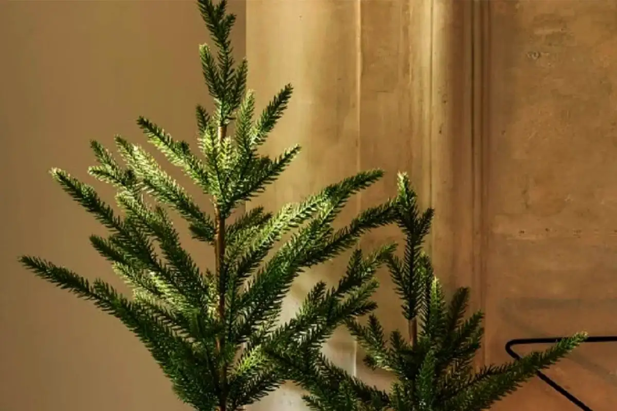 Nem kell díszíteni – ez lett a 2026-ös karácsonyfa-trend, amitől minden lakás luxusnak néz ki