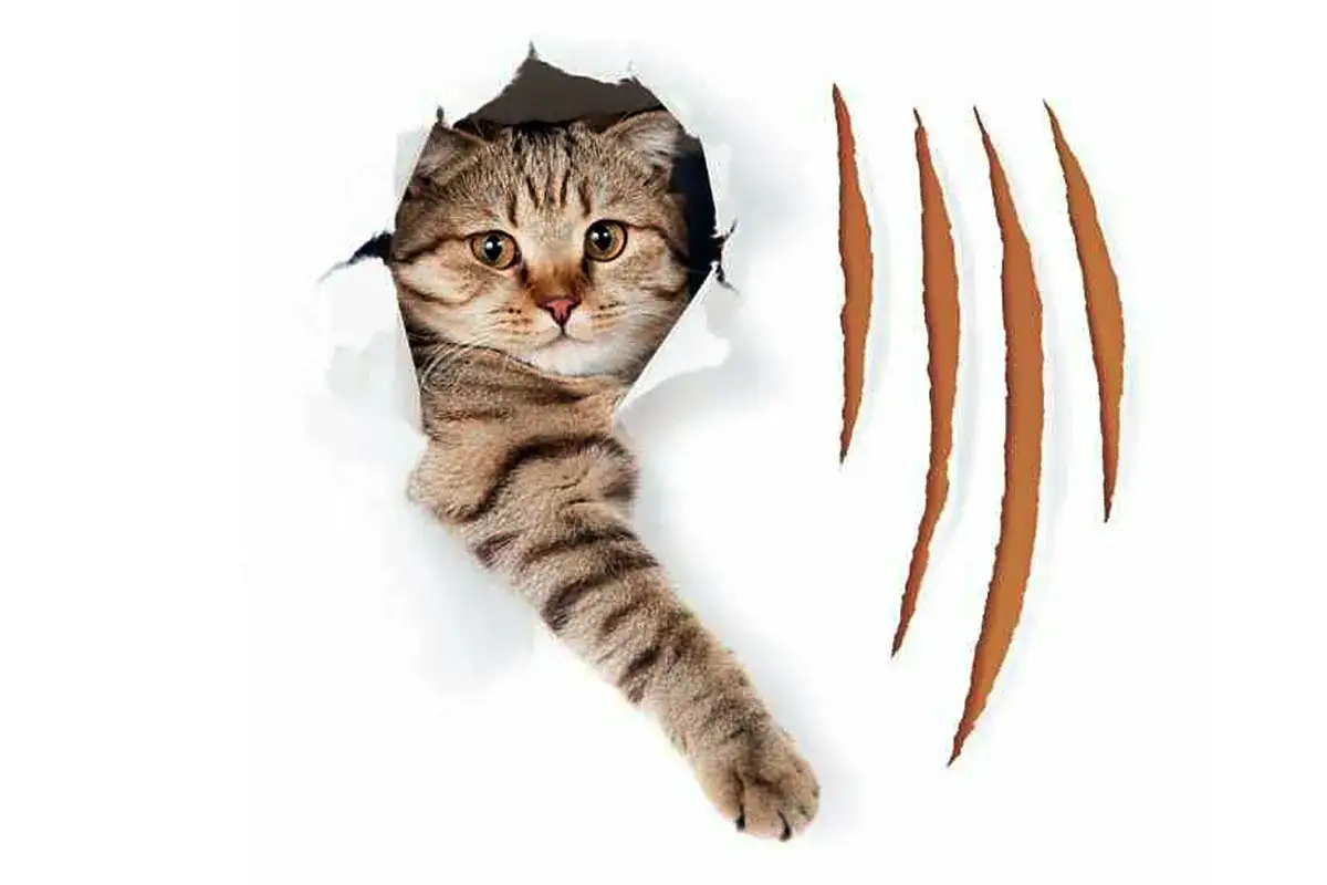 A kanapéd megmenekül – így szoktathatod le végleg a macskát a karmolásról, bántás nélkül