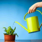 A növények gondozásának titka – és gyakrabban virágoznak majd! Egy kis öntözési trükk – és az eredmény szemmel látható.