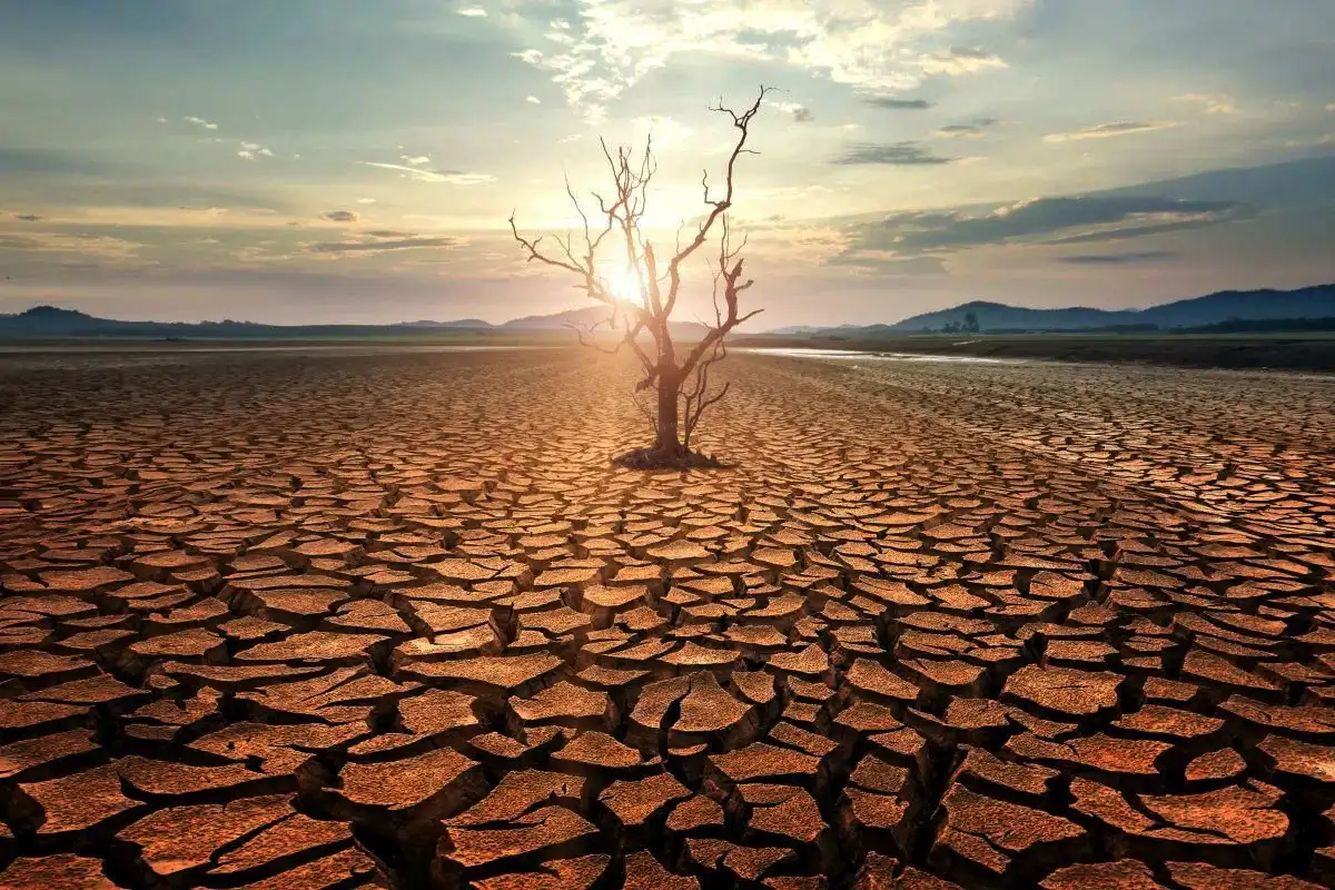 Mi történne, ha egy pillanat alatt eltűnnének a Föld összes sivatagjai?