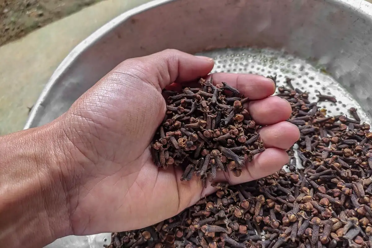 Sütés után is tiszta levegő: ezzel a 15 másodperces trükkel eltűnik az olajszag, mintha sosem sütöttél volna