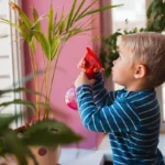 8 szobanövény, amit tilos a lakásba vinni, ha kisgyerek vagy háziállat van otthon – életveszélyes mérgezés 5 perc alatt lehetséges