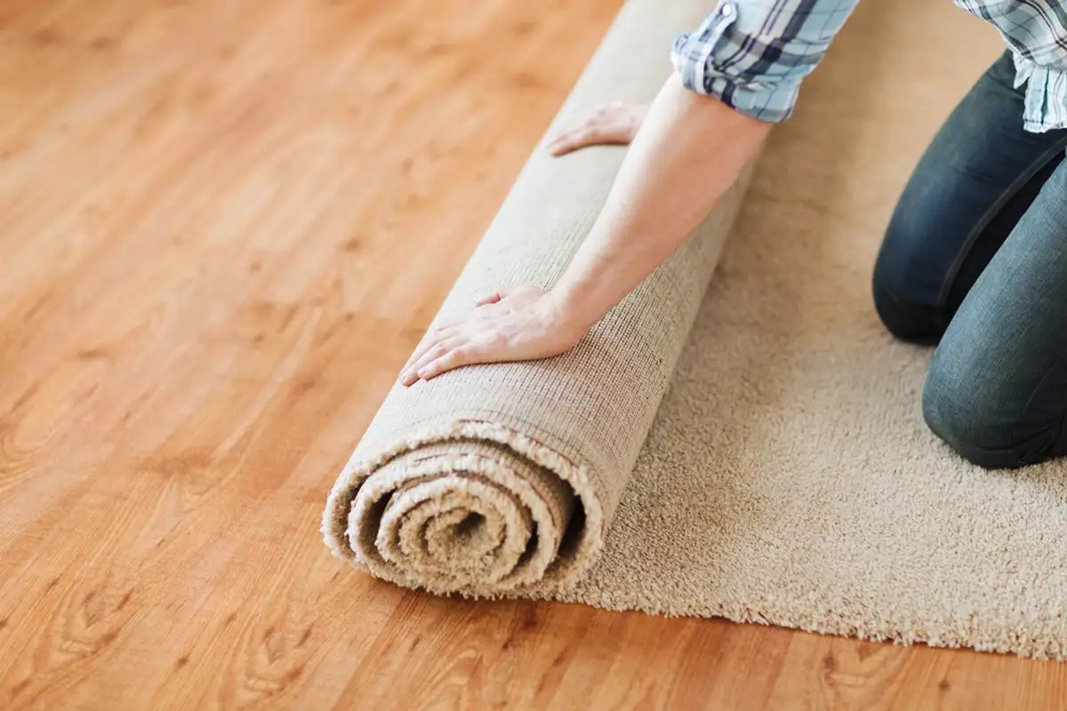 Szőnyeg vagy parketta? Melyik padlóburkolat a gyakorlatiabb – előnyök és hátrányok