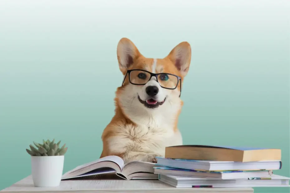 Szőrös terapeuta: 6 fóbia, amivel a kutya jobb, mint bármilyen tabletta