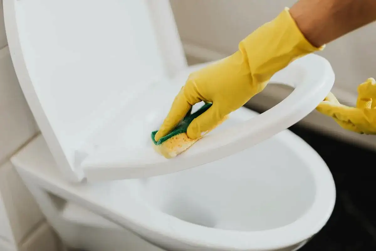 A WC tisztítása, hogy újra ragyogjon, mint újkorában: szakértők részletes útmutatója – teljes verzió!