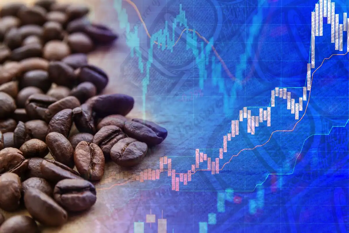 Brazília, a világ legnagyobb kávétermelője, miért vált arabicáról robusztára?