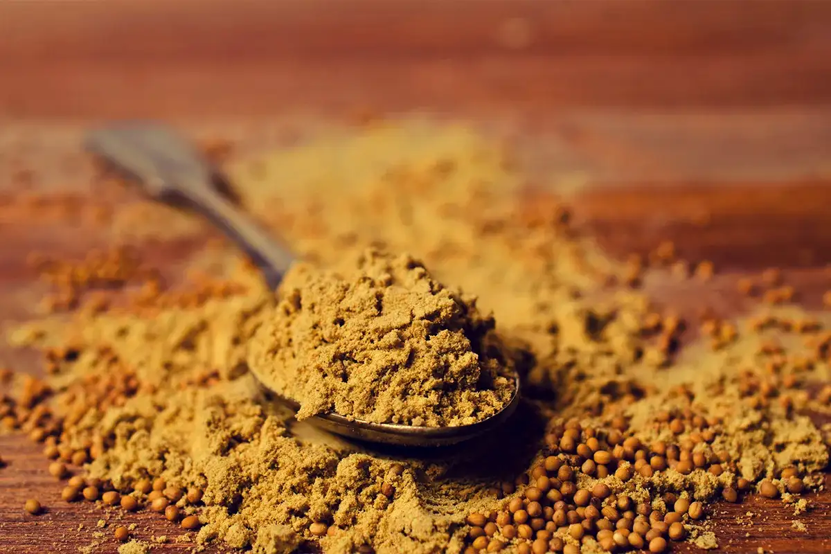 A mustárpor, amitől a mosogató szaga 2 perc alatt eltűnik – a profik titka, amitől a lefolyó úgy illatozik, mintha most szerelték volna fel