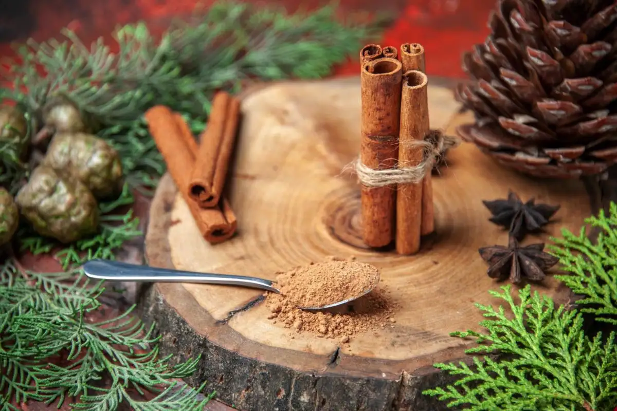 Fahéj: a konyhai fűszer, amitől a lakásod úgy illatozik, mintha egy karácsonyi vásárban járnál – 3 zseniális házi praktika