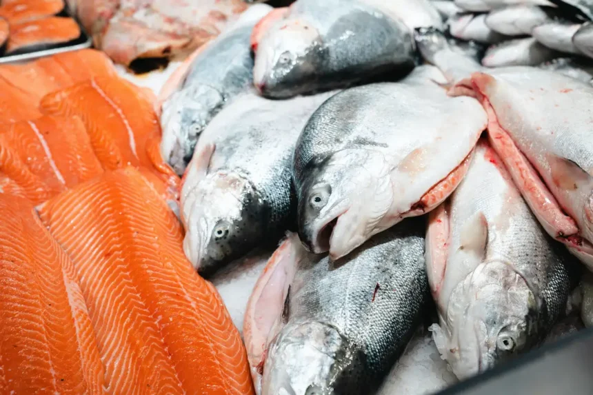 Hogyan válassz friss halat – a halas pult titkai, amiktől soha többé nem viszel haza romlott árut