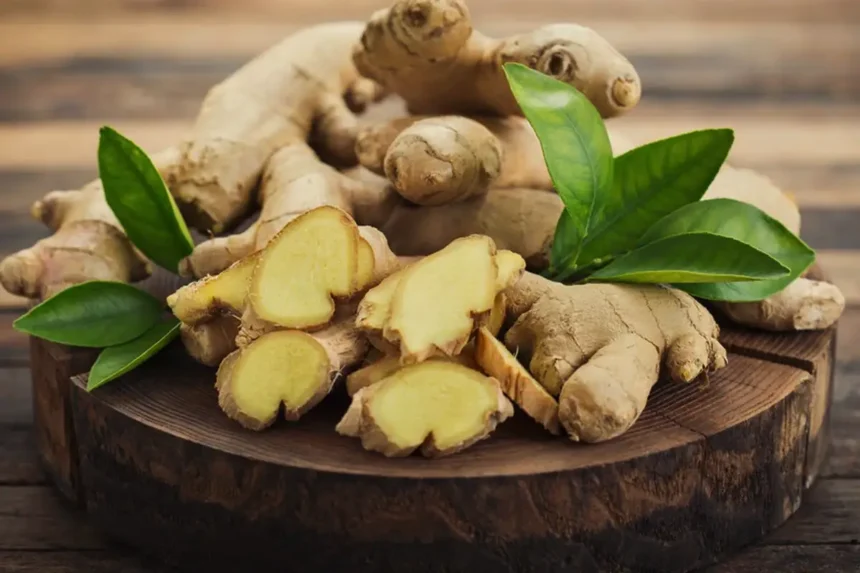 A gyömbér titkos szuperképessége: ezzel a trükkel a növényeid kétszer olyan gyorsan nőnek – és sosem lesznek betegek