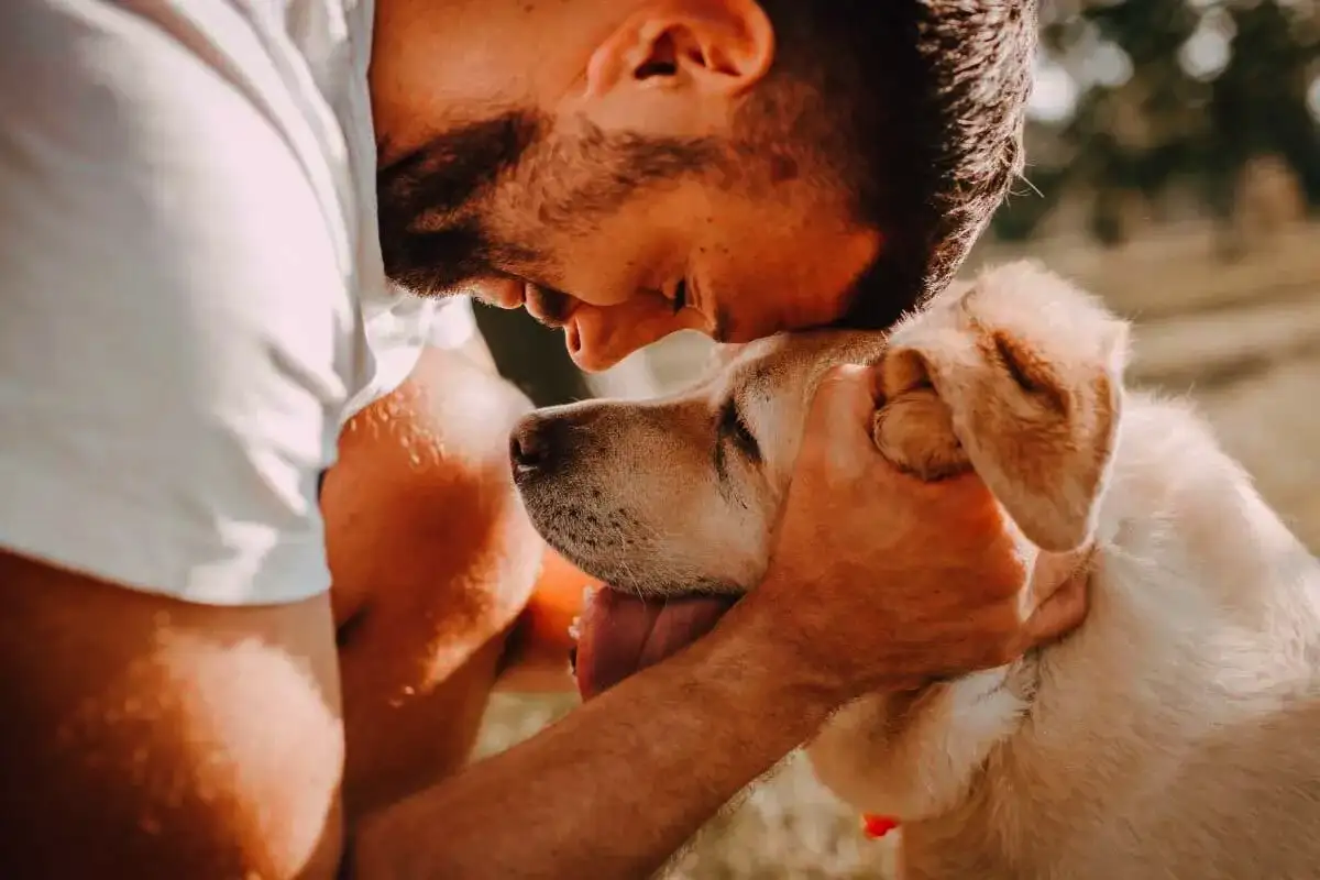 Féltékeny a kutyám, vagy csak fél, hogy kimarad? – őszinte válasz egy négylábú családban élő gazdától