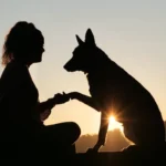 10 ok, amiért kutyával jobb az élet – és egyedül soha nem lesz ilyen jó