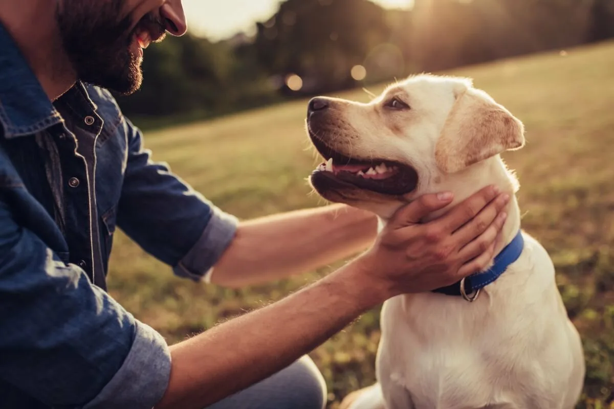 10 ok, amiért kutyával jobb az élet – és egyedül soha nem lesz ilyen jó