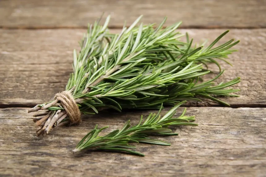 Miért kell rozmaringot akasztani az ajtó fölé – a régi bölcsesség, amitől a lakásod azonnal védetté és tisztává válik